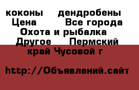 коконы    дендробены › Цена ­ 25 - Все города Охота и рыбалка » Другое   . Пермский край,Чусовой г.